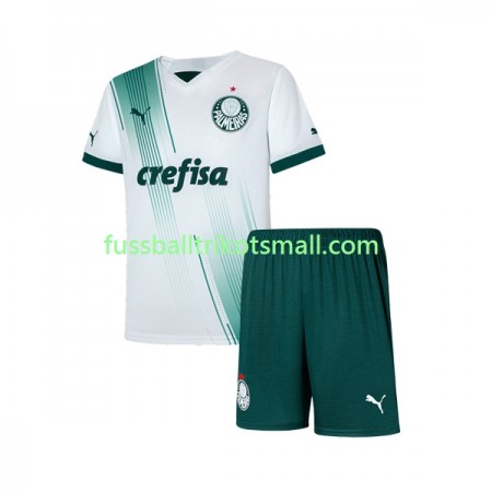 Fußballtrikots Palmeiras Kinder 2023-2024 Kurzarm Auswärts-trikot kaufen